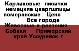 Карликовые “лисички“  немецкие цвергшпицы/померанские › Цена ­ 35 000 - Все города Животные и растения » Собаки   . Приморский край,Уссурийск г.